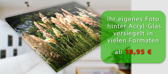 Ihr eigenes Foto hinter Acryl-Glas