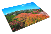 Foto hinter Acryl-Glas auf Alu-Dibond