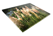 Foto hinter Acryl-Glas