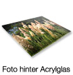 Foto hinter Acrylglas
