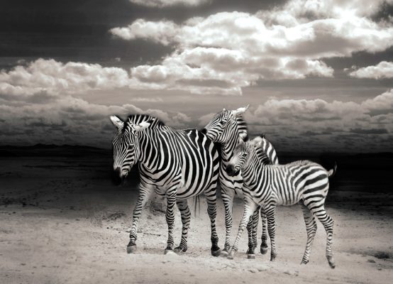 1Nightprint Farb- und Papiermuster: FineArt Baryta