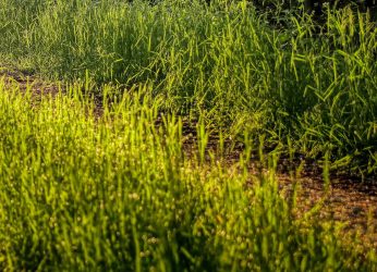 Photo-Rag-Ausschnitt 1Nightprint Farb- und Papiermuster: Photo Rag