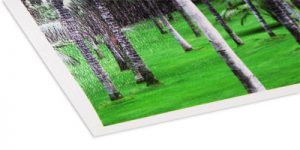 fineart-baryta FineArt-Papier - Hahnemühle Baryta