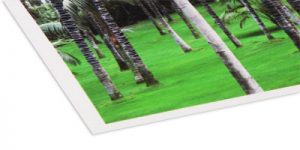photo-rag-bright-white FineArt-Papier - Hahnemühle Photo Rag Bright White