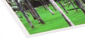 photo-rag FineArt-Papier - Hahnemühle Photo Rag