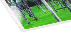 poster-glanz Posterpapier glanz